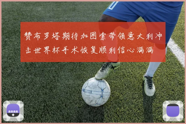 赞布罗塔期待加图索带领意大利冲击世界杯手术恢复顺利信心满满