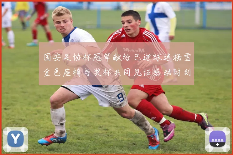 国安足协杯冠军献给已逝球迷杨雪金色座椅与奖杯共同见证感动时刻