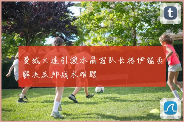 曼城火速引援水晶宫队长格伊能否解决瓜帅战术难题
