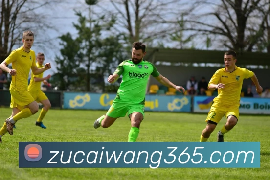 足彩网平台生态图